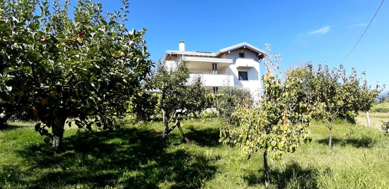 Al Settimo Miglio, Alloggio Agrituristico Villa Treppo Grande Eksteriør bilde